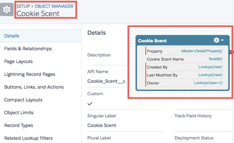 Salesforce開發(fā)