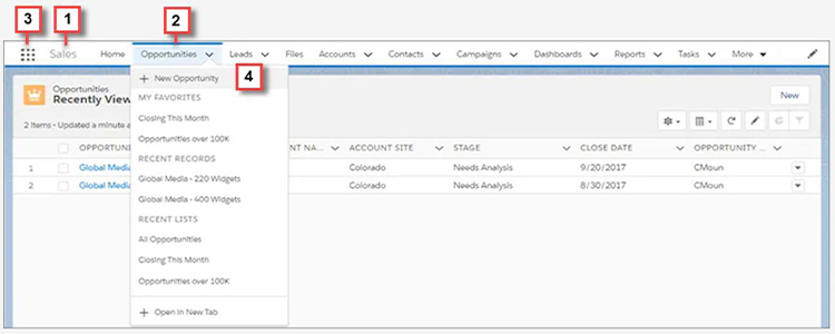 Salesforce開發(fā)